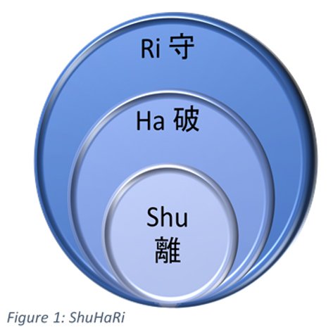 ShuHaRi - The Science of PPM Mastery via Japanese Martial Arts - Wellingtone PPM 