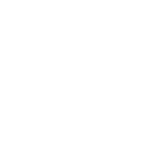 JD Sports Microsoft Project Online Case Study – Wellingtone PPM JD Sports Microsoft Project Online Case Study - Wellingtone PPM