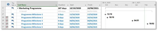 Programme schedule in Microsoft Project | Wellingtone