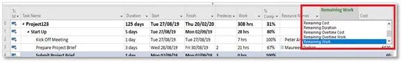 Insert 'Remaining Work' column in the Gantt Chart View in Project Online