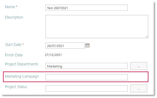 Visibility of Enterprise Custom Fields (ECFs) | Wellingtone