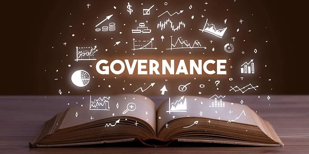 Over-governance