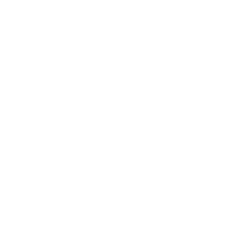 500×500-stonex-white