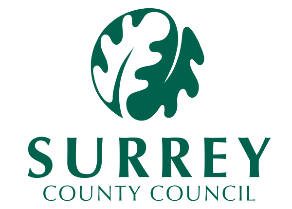 Surrey County Council Customised Project Management Training Case Study