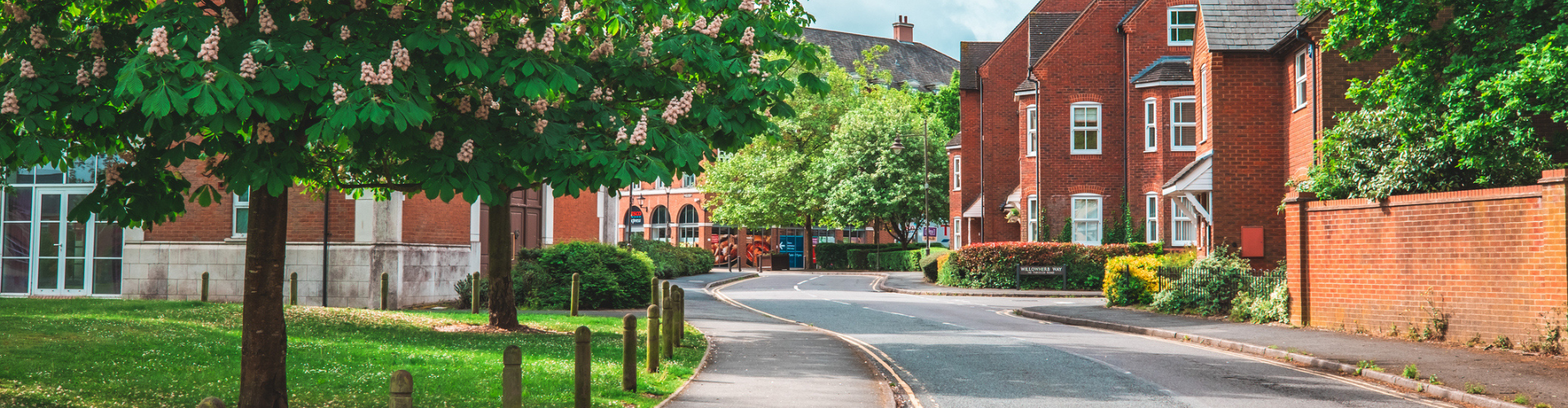 Solihull County Council - Case Study - Wellingtone