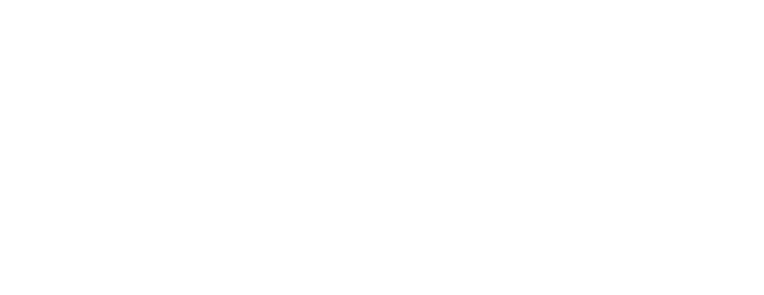 Network Logo White